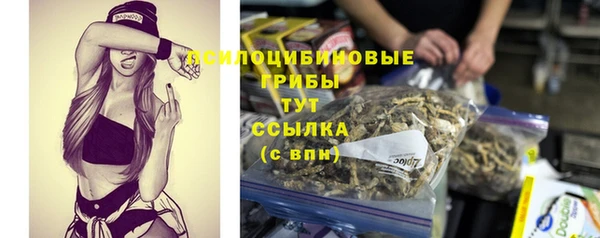 амф Беломорск