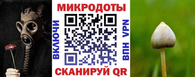 mega ссылки  Жигулёвск  Галлюциногенные грибы Psilocybe  сколько стоит 